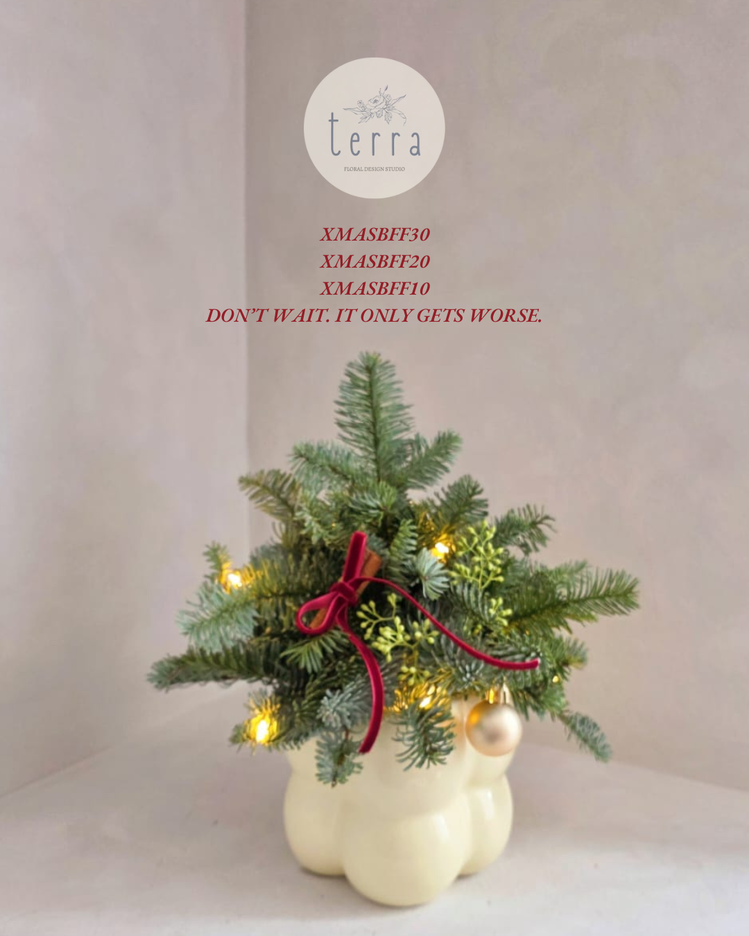Christmas tree in a vase with discount codes